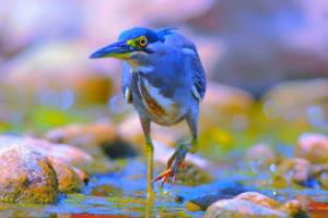 桑拿岛中场兑现承诺，赠送球迷福利