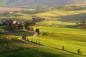 国际足球盛事中国女足队员崭露头角