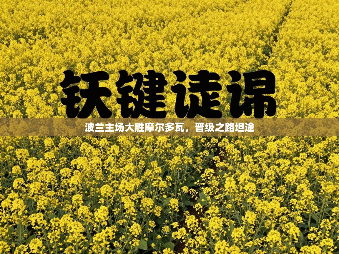 波兰主场大胜摩尔多瓦，晋级之路坦途  第2张