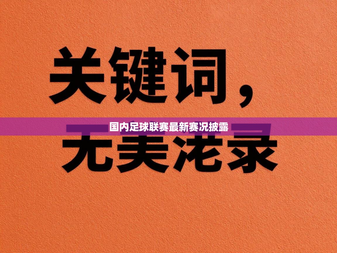 国内足球联赛最新赛况披露 第2张