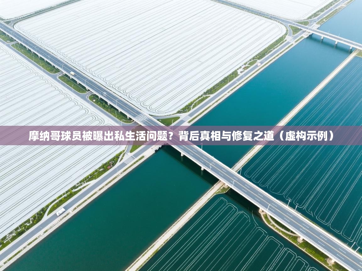 摩纳哥球员被曝出私生活问题？背后真相与修复之道（虚构示例）  第2张