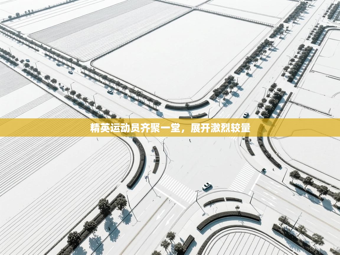 精英运动员齐聚一堂,展开激烈较量 第2张