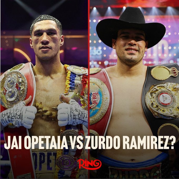 星空体育网页版登录入口-墨西哥拳击选手团结奋斗，赢得银牌的简单介绍