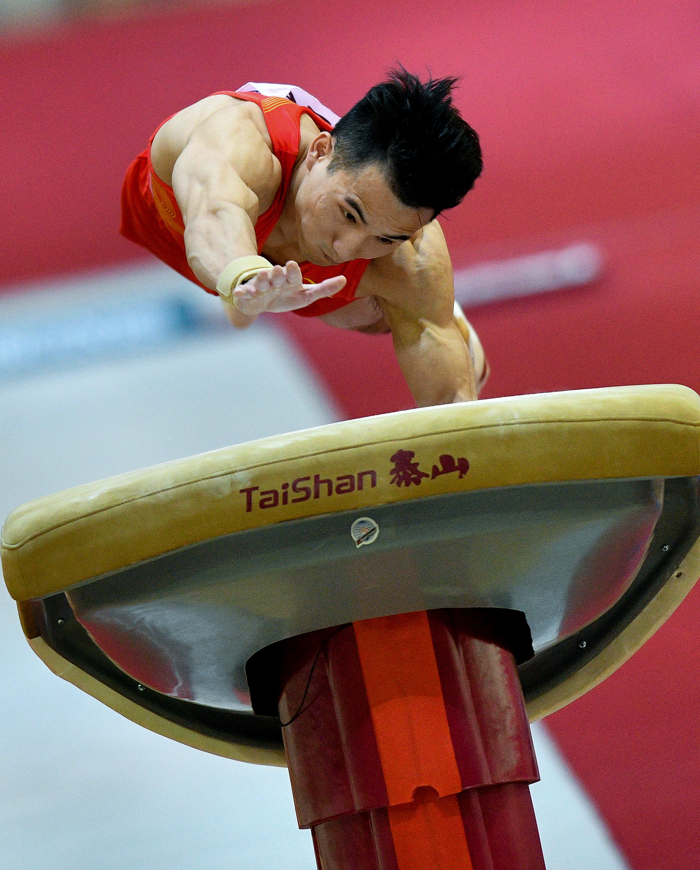 星空弈赛电脑版下载-意大利男子体操队凭借高超技艺，夺得头名