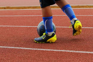 星空弈赛电脑版下载-河床技战术演练密集，冲刺冠军全力以赴