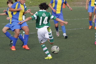 星空体育网站-重要战役即将展开，广州富力引发球迷热议，广州富力转会新闻