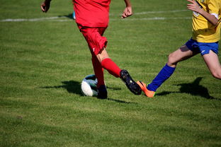 星空体育官网登录-德国队在比赛中取得胜利，实力得到肯定，德国队在比赛中取得胜利,实力得到肯定的英文